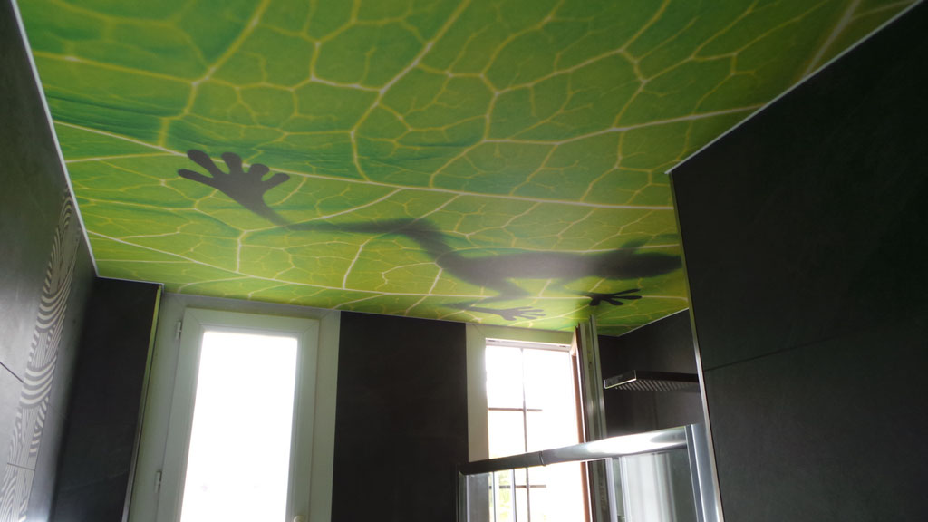 La Toile du menuisier - plafond imprimé